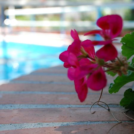 Hotel La Villa Misterbianco Zewnętrze zdjęcie